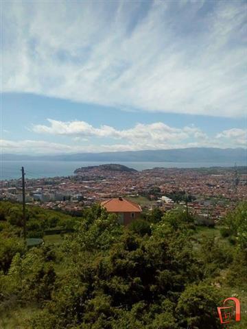 Villa & Apartments Petkoski Ohrid Exterior foto